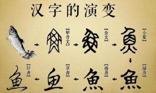 汉字的起源和演变过程八个阶段 汉字的演变图片